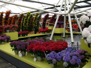 IMG_2505.JPG