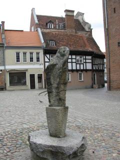 IMG_1546.JPG