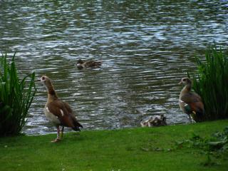 IMG_2049.JPG