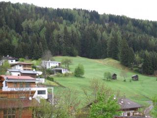 IMG_7374.JPG