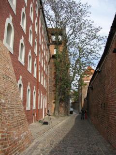 IMG_1189.JPG
