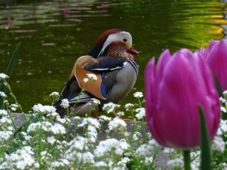 IMG_0667.JPG