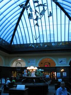 IMG_1528.JPG
