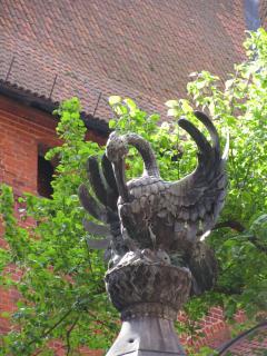 IMG_1429.JPG