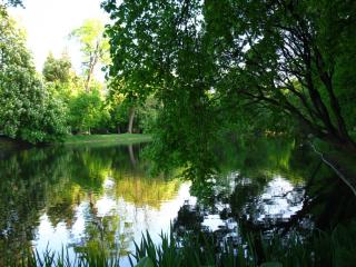IMG_0676.JPG