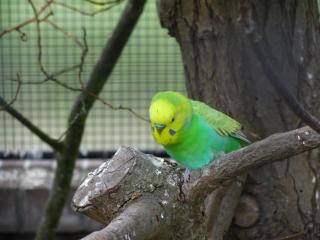 IMG_2569.JPG
