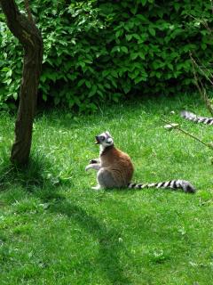 IMG_0642.JPG