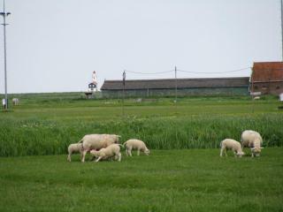 IMG_2359.JPG