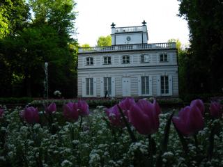 IMG_0664.JPG