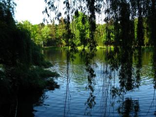 IMG_0671.JPG