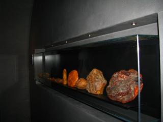 IMG_1392.JPG