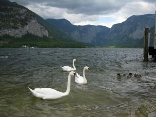 IMG_7273.JPG