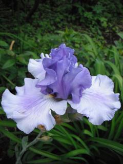 DSCF1155.JPG