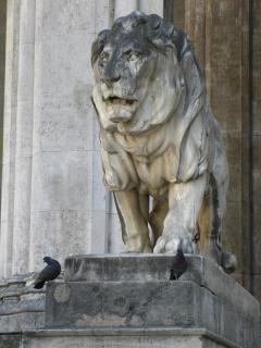 IMG_0087.JPG