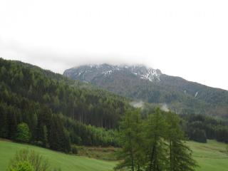 IMG_7373.JPG