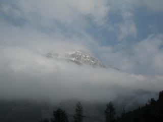 IMG_7649.JPG