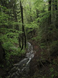 IMG_7624.JPG