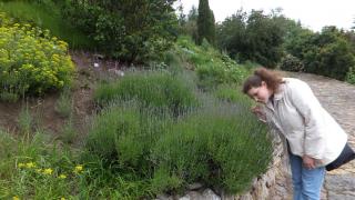 DSCF1751.JPG