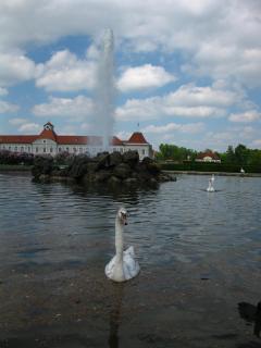 IMG_0035.JPG