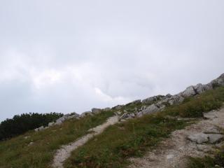 P9047245.JPG