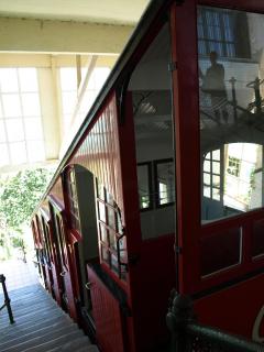 P6155242.JPG