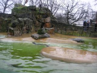 DSCN7453.JPG