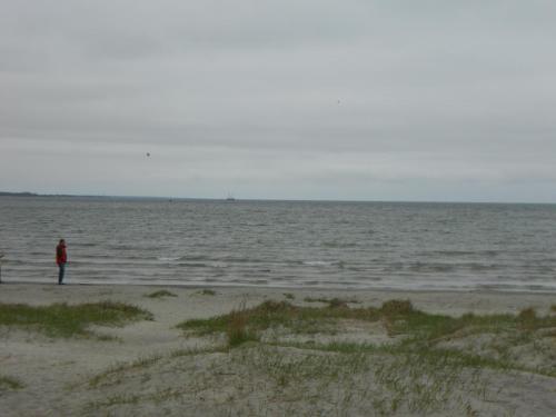 DSCN9262.JPG