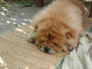 DSCN4233.JPG
