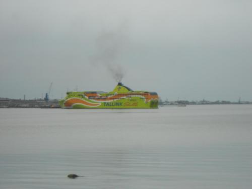 DSCN9226.JPG