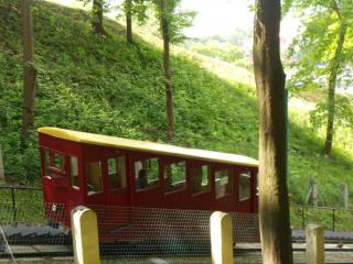 DSCN8895.JPG