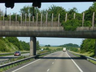 P1010793.JPG