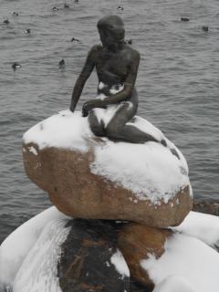 DSCN0281.JPG