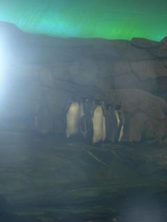DSCN7457.JPG