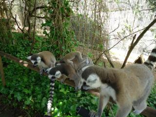 DSC00349.JPG