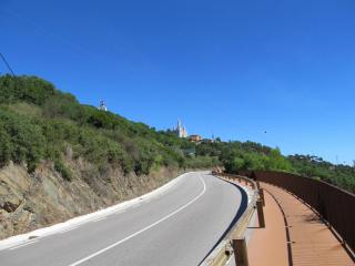 IMG_5235.JPG