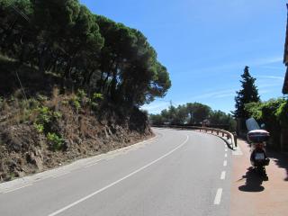 IMG_5232.JPG