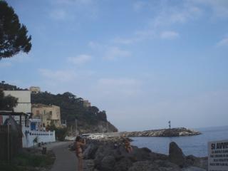 P7131872-0.jpg