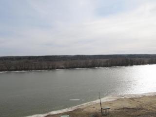 IMG_7646.JPG