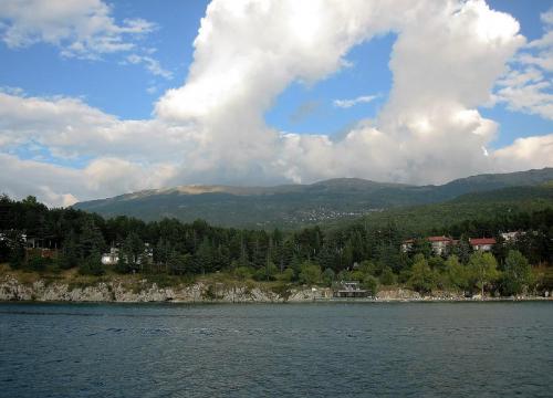 IMG_1590 (2)сж.jpg