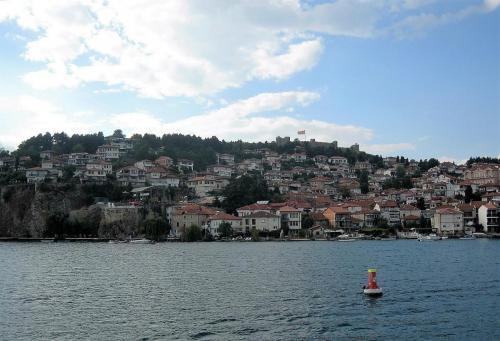 IMG_1583 (2)сж.jpg