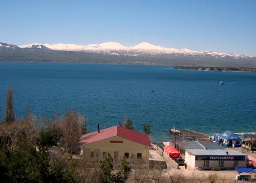 IMG_1489_1.jpg