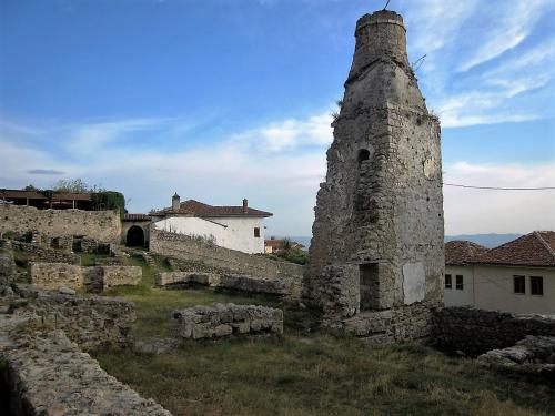 IMG_1083 (2)сж.jpg