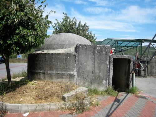 IMG_0995 (2)сж.jpg