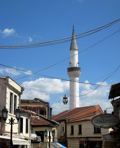 IMG_1713 (2)сж.jpg