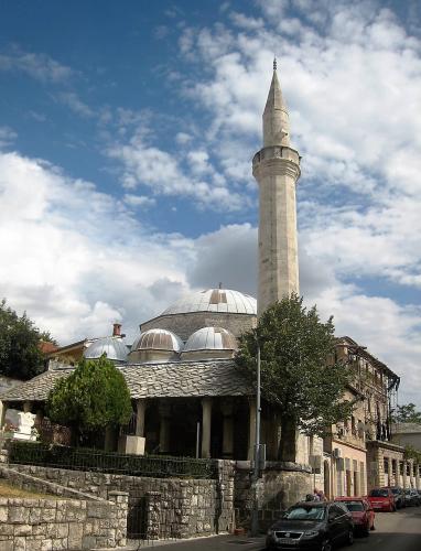 IMG_0186 (2)_сж.jpg