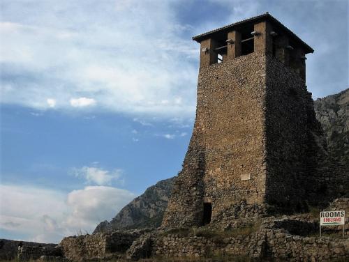 IMG_1090 (2)сж.jpg