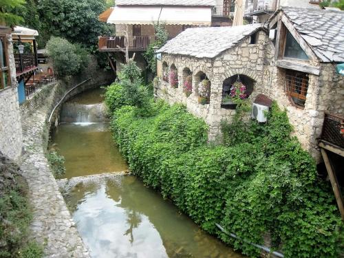 IMG_0167 (2)_сж.jpg