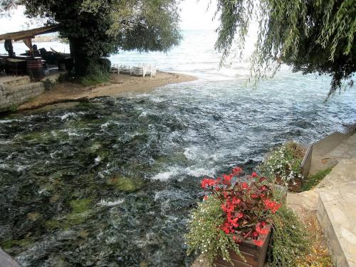 IMG_1425 (2)сж.jpg