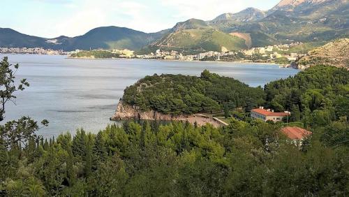 WP_20160823_08_42_45_Pro (2)сж.jpg