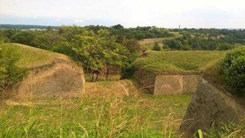 WP_20160817_13_52_31_Pro (2).jpg